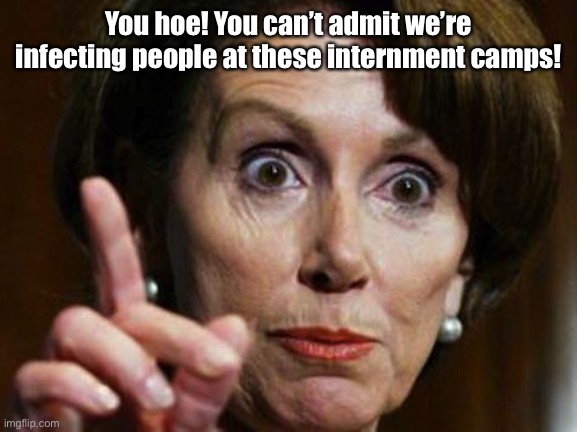 Nancy Pelosi No Spending Problem | You hoe! You can’t admit we’re infecting people at these internment camps! | image tagged in nancy pelosi no spending problem | made w/ Imgflip meme maker