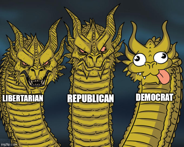 Pretty much... | DEMOCRAT; REPUBLICAN; LIBERTARIAN | image tagged in three-headed dragon,politics,parties | made w/ Imgflip meme maker