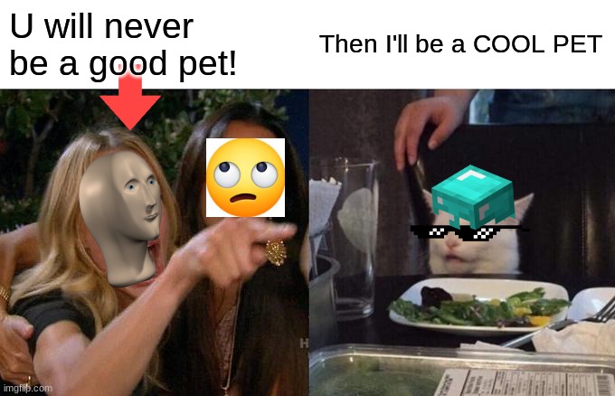 COOL PET | U will never be a good pet! Then I'll be a COOL PET | image tagged in memes,woman yelling at cat | made w/ Imgflip meme maker