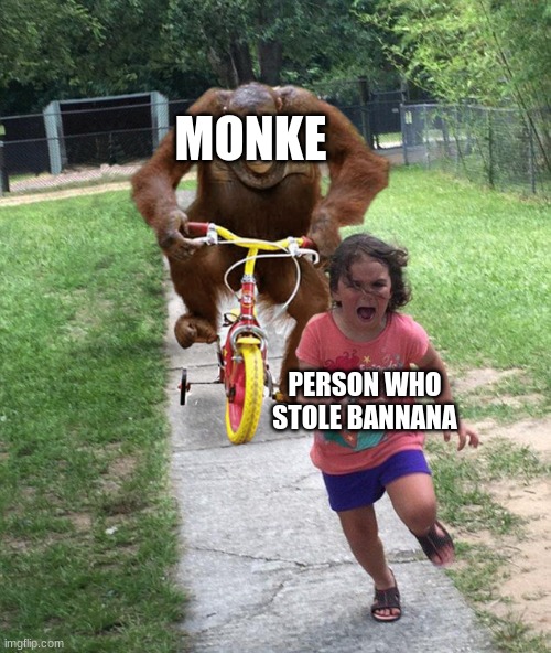 Orangutan chasing girl on a tricycle | MONKE PERSON WHO STOLE BANNANA | image tagged in orangutan chasing girl on a tricycle | made w/ Imgflip meme maker