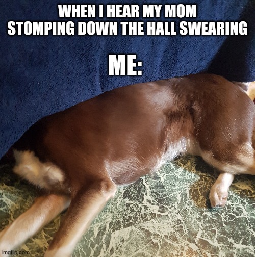 Jersey | WHEN I HEAR MY MOM STOMPING DOWN THE HALL SWEARING; ME: | image tagged in funny | made w/ Imgflip meme maker