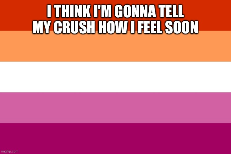 aaaaa I'm nervous asf | I THINK I'M GONNA TELL MY CRUSH HOW I FEEL SOON | image tagged in lesbian flag | made w/ Imgflip meme maker