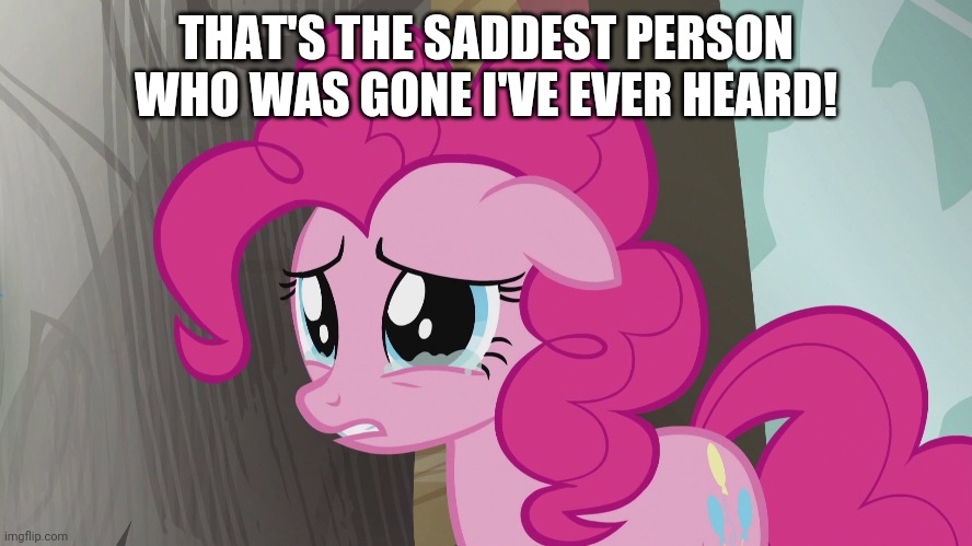 THAT'S THE SADDEST PERSON WHO WAS GONE I'VE EVER HEARD! | made w/ Imgflip meme maker