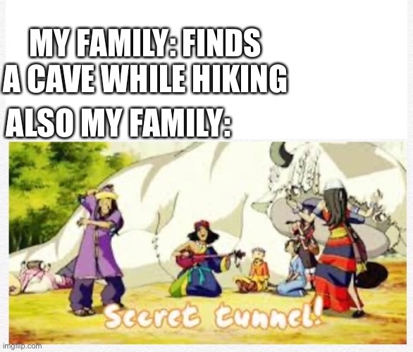 It’s true tho | MY FAMILY: FINDS A CAVE WHILE HIKING; ALSO MY FAMILY: | image tagged in secret tunnel | made w/ Imgflip meme maker