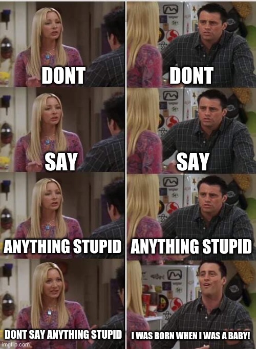Phoebe Joey | DONT; DONT; SAY; SAY; ANYTHING STUPID; ANYTHING STUPID; DONT SAY ANYTHING STUPID; I WAS BORN WHEN I WAS A BABY! | image tagged in phoebe joey | made w/ Imgflip meme maker