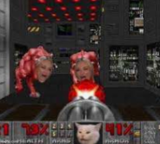 because why the hell not | image tagged in doom cat | made w/ Imgflip meme maker