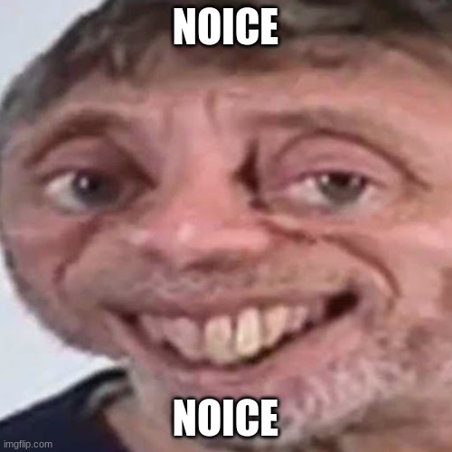Noice | NOICE NOICE | image tagged in noice | made w/ Imgflip meme maker