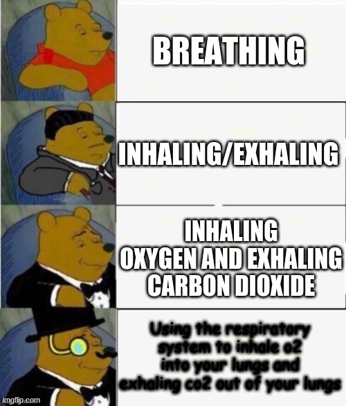 Tuxedo Winnie the Pooh 4 panel | BREATHING; INHALING/EXHALING; INHALING OXYGEN AND EXHALING CARBON DIOXIDE; Using the respiratory system to inhale o2 into your lungs and exhaling co2 out of your lungs | image tagged in tuxedo winnie the pooh 4 panel | made w/ Imgflip meme maker