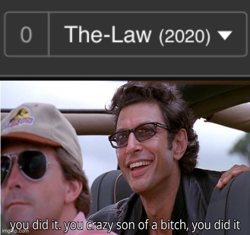 The-Law exactly 2020 (makes sense right?!?) | image tagged in blank white template,2020,law,you crazy son of a bitch you did it | made w/ Imgflip meme maker