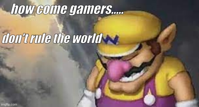 wario |  how come gamers..... don't rule the world | image tagged in video games | made w/ Imgflip meme maker