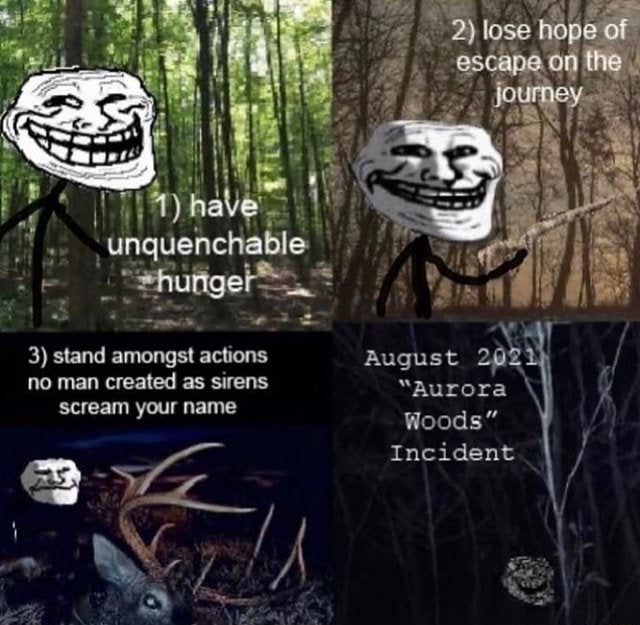 High Quality Aurora Woods Blank Meme Template