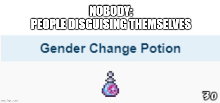 Bruh | NOBODY:
PEOPLE DISGUISING THEMSELVES | image tagged in terraria,gender change potion,bruh,nobody | made w/ Imgflip meme maker