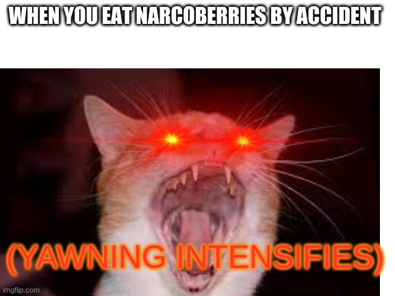 ark players understand this | WHEN YOU EAT NARCOBERRIES BY ACCIDENT; (YAWNING INTENSIFIES) | image tagged in blank transparent square,memes,funny,relatable | made w/ Imgflip meme maker