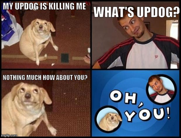 this meme should be #1 text not bottom and top text | WHAT'S UPDOG? MY UPDOG IS KILLING ME; NOTHING MUCH HOW ABOUT YOU? | image tagged in oh you | made w/ Imgflip meme maker
