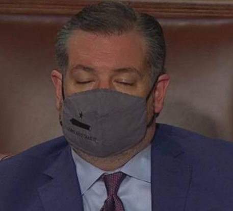 Ted Cruz sleep Blank Meme Template