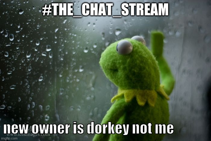 kermit window | #THE_CHAT_STREAM; new owner is dorkey not me | image tagged in kermit window | made w/ Imgflip meme maker