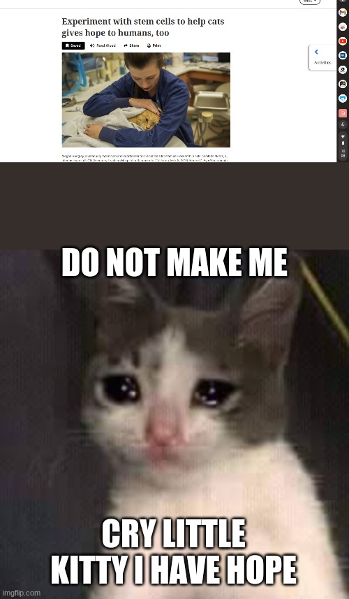 i was reading this and it made me cry of joy | DO NOT MAKE ME; CRY LITTLE KITTY I HAVE HOPE | image tagged in funny,memes | made w/ Imgflip meme maker