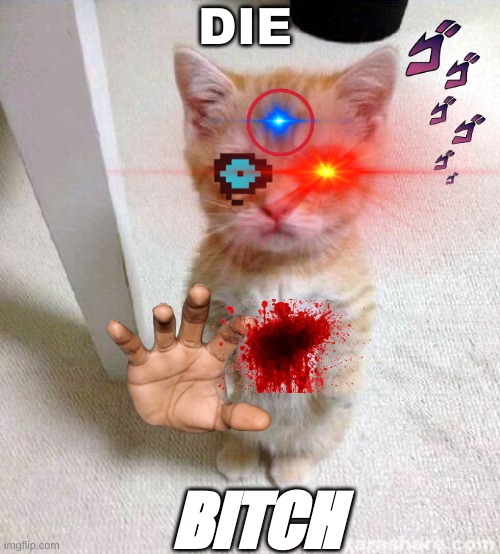 Cute Cat Meme | DIE; BITCH | image tagged in memes,cute cat | made w/ Imgflip meme maker