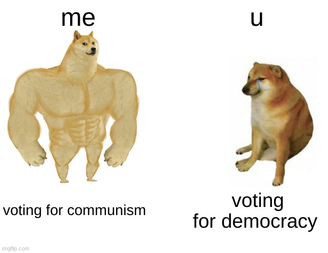 Buff Doge vs. Cheems | me; u; voting for communism; voting for democracy | image tagged in memes,buff doge vs cheems | made w/ Imgflip meme maker
