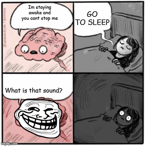 lol | GO TO SLEEP; Im staying awake and you cant stop me; What is that sound? | image tagged in brain before sleep | made w/ Imgflip meme maker