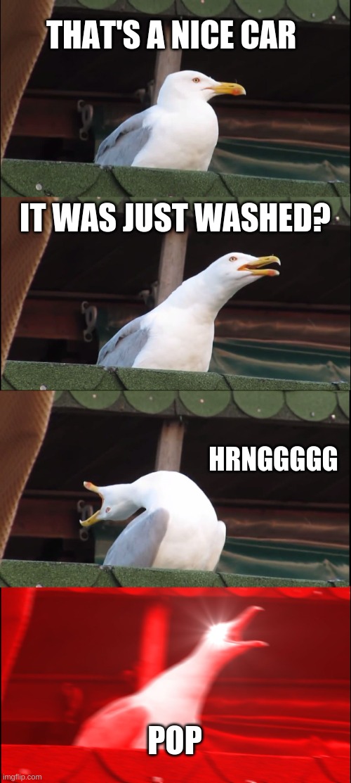 Inhaling Seagull | THAT'S A NICE CAR; IT WAS JUST WASHED? HRNGGGGG; POP | image tagged in memes,inhaling seagull | made w/ Imgflip meme maker