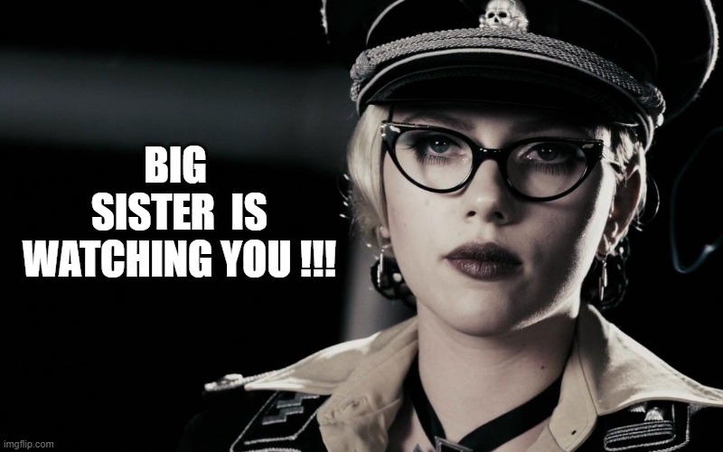 big sister | BIG  SISTER  IS WATCHING YOU !!! | image tagged in scarlett johansson silkin floss the spirit | made w/ Imgflip meme maker