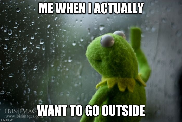 kermit window | ME WHEN I ACTUALLY; WANT TO GO OUTSIDE | image tagged in kermit window | made w/ Imgflip meme maker