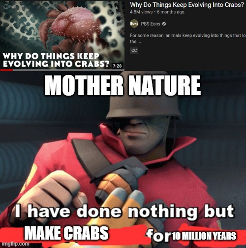 Mother nature make crab | MOTHER NATURE; MAKE CRABS; 10 MILLION YEARS | image tagged in i have done nothing but teleport bread for 3 days | made w/ Imgflip meme maker