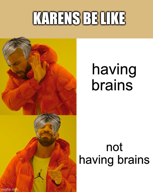 Drake Hotline Bling Meme | having brains not having brains KARENS BE LIKE | image tagged in memes,drake hotline bling | made w/ Imgflip meme maker