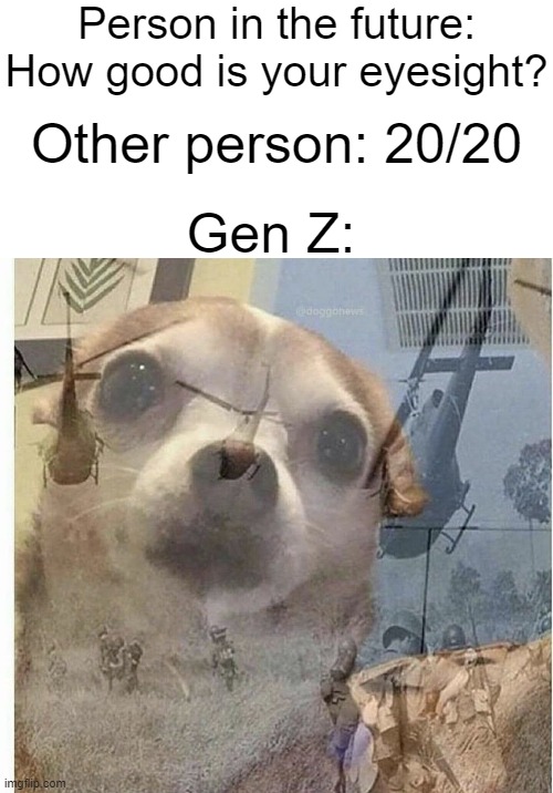 Person in the future: How good is your eyesight? Other person: 20/20; Gen Z: | image tagged in blank white template,ptsd chihuahua,2020,2020 sucked,gen z,future | made w/ Imgflip meme maker