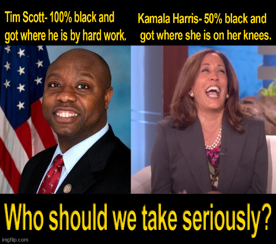 Kamela is a opportunistic Bit*h don't trust a thing she says | image tagged in stupid liberals,racist,tim scott,kamala harris | made w/ Imgflip meme maker