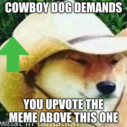 What in tarnation dog | COWBOY DOG DEMANDS; YOU UPVOTE THE MEME ABOVE THIS ONE | image tagged in what in tarnation dog | made w/ Imgflip meme maker