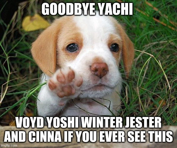 dog puppy bye | GOODBYE YACHI; VOYD YOSHI WINTER JESTER AND CINNA IF YOU EVER SEE THIS | image tagged in dog puppy bye | made w/ Imgflip meme maker