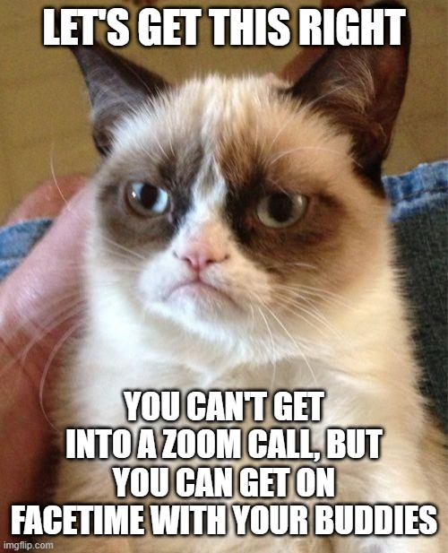Like it's not hard | LET'S GET THIS RIGHT; YOU CAN'T GET INTO A ZOOM CALL, BUT YOU CAN GET ON FACETIME WITH YOUR BUDDIES | image tagged in memes,grumpy cat | made w/ Imgflip meme maker