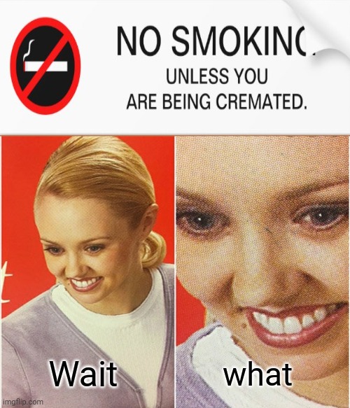 The No Smoking sign | Wait; what | image tagged in wait what,dark humor,memes,no smoking,meme,funny signs | made w/ Imgflip meme maker