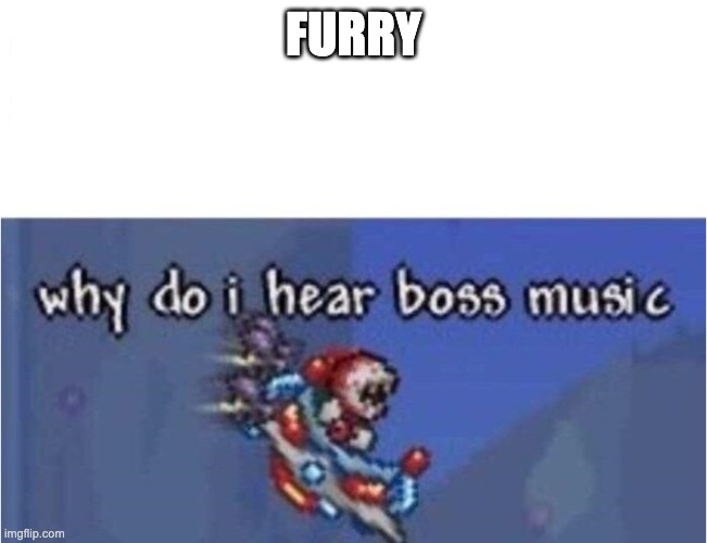 why do i hear boss music | FURRY | image tagged in why do i hear boss music | made w/ Imgflip meme maker