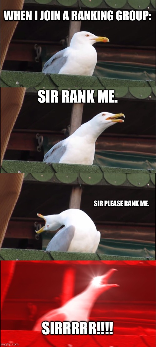 WHAT I DONT KNOW I WAS BORED | WHEN I JOIN A RANKING GROUP:; SIR RANK ME. SIR PLEASE RANK ME. SIRRRRR!!!! | image tagged in memes,inhaling seagull | made w/ Imgflip meme maker