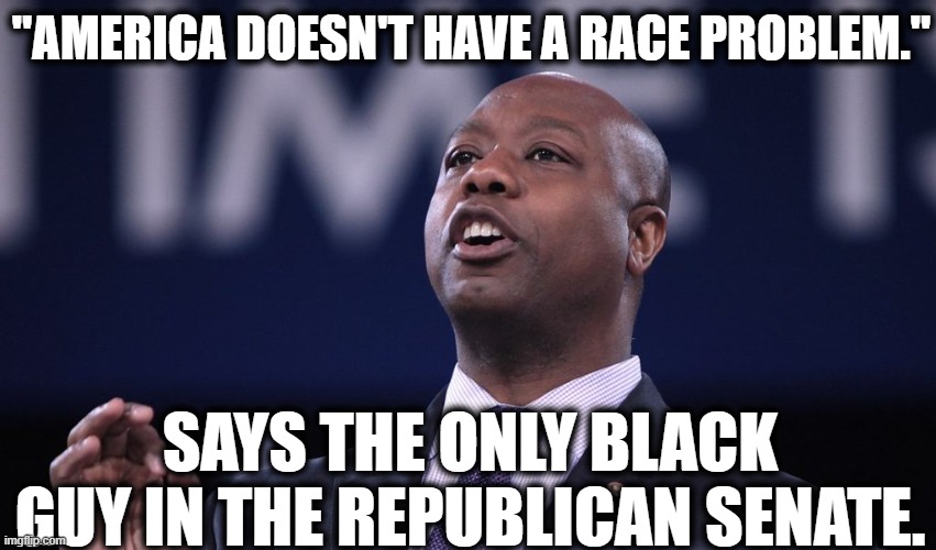 Makes Sense? | "AMERICA DOESN'T HAVE A RACE PROBLEM."; SAYS THE ONLY BLACK GUY IN THE REPUBLICAN SENATE. | image tagged in senate,racism,republicans,tim scott,gop,stupid | made w/ Imgflip meme maker
