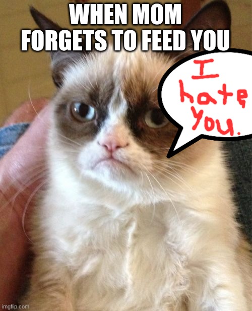 Grumpy Cat Meme | WHEN MOM FORGETS TO FEED YOU | image tagged in memes,grumpy cat | made w/ Imgflip meme maker