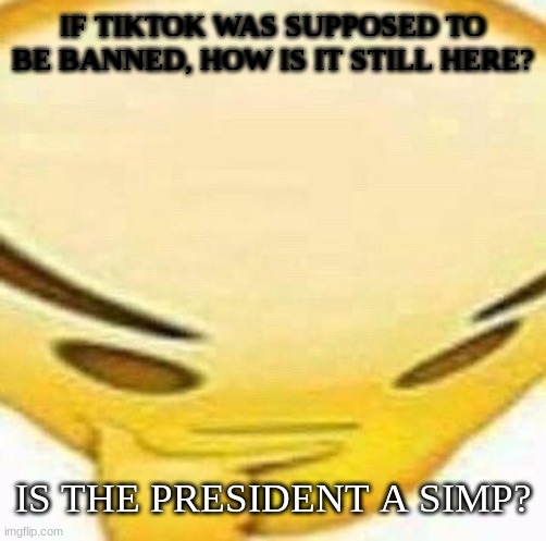 HMMMMMMM | IF TIKTOK WAS SUPPOSED TO BE BANNED, HOW IS IT STILL HERE? IS THE PRESIDENT A SIMP? | image tagged in hmmmmmmm | made w/ Imgflip meme maker
