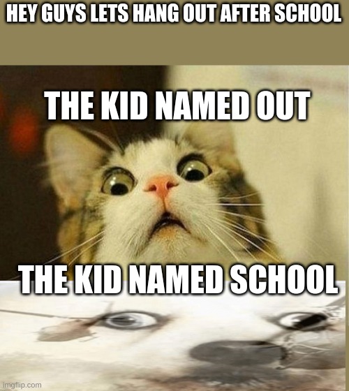 Scared Cat | HEY GUYS LETS HANG OUT AFTER SCHOOL; THE KID NAMED OUT; THE KID NAMED SCHOOL | image tagged in memes,scared cat,ptsd dog,funny,funny memes | made w/ Imgflip meme maker