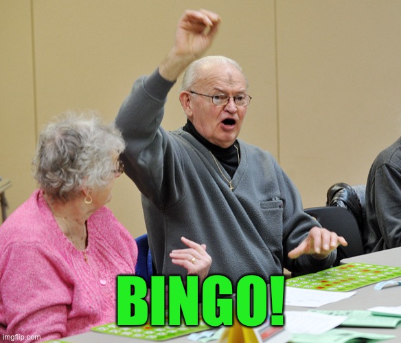 Bingo | BINGO! | image tagged in bingo | made w/ Imgflip meme maker