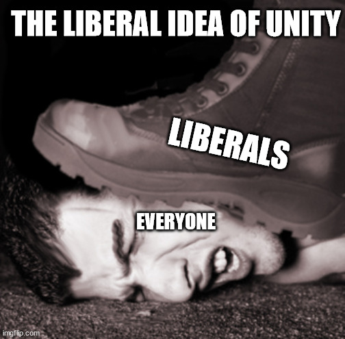 The idea that Liberals want unity is BS | THE LIBERAL IDEA OF UNITY; LIBERALS; EVERYONE | image tagged in stupid liberals,liberal hypocrisy,libtards | made w/ Imgflip meme maker