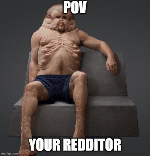 "I use Reddit" | POV; YOUR REDDITOR | image tagged in reddit,4chan,neckbeard,cringe,incel | made w/ Imgflip meme maker