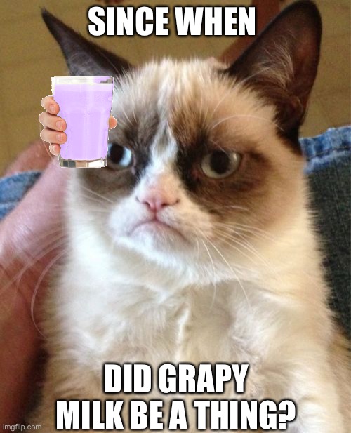 I have never heard of it and it is more popular than Straby milk. | SINCE WHEN; DID GRAPY MILK BE A THING? | image tagged in memes,grumpy cat,flavoured milk,choccy milk,grapy milk | made w/ Imgflip meme maker