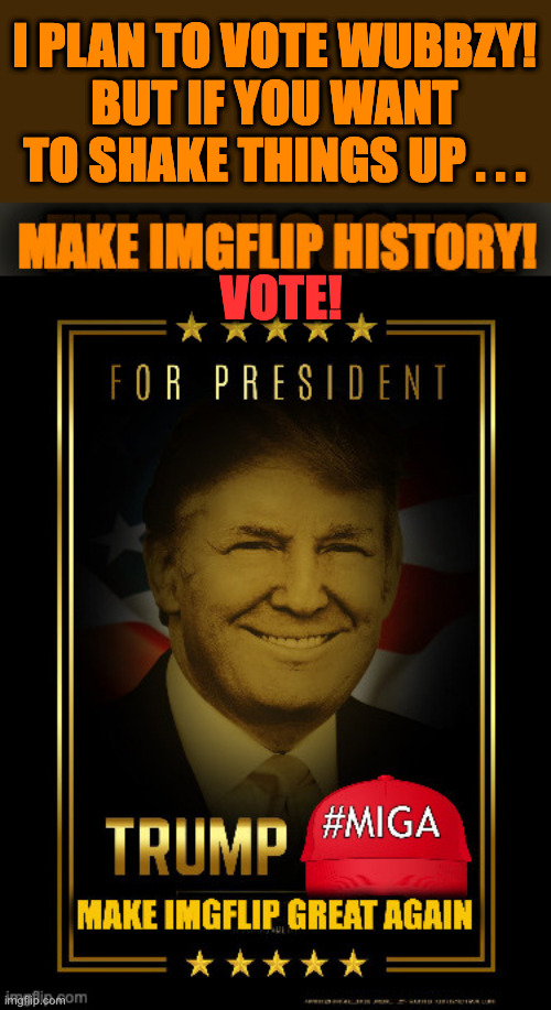 VOTING STARTS TODAY AND TOMORROW! MAKE IMGFLIP GREAT AGAIN!! VOTE!!! | I PLAN TO VOTE WUBBZY!
BUT IF YOU WANT TO SHAKE THINGS UP . . . VOTE! | made w/ Imgflip meme maker