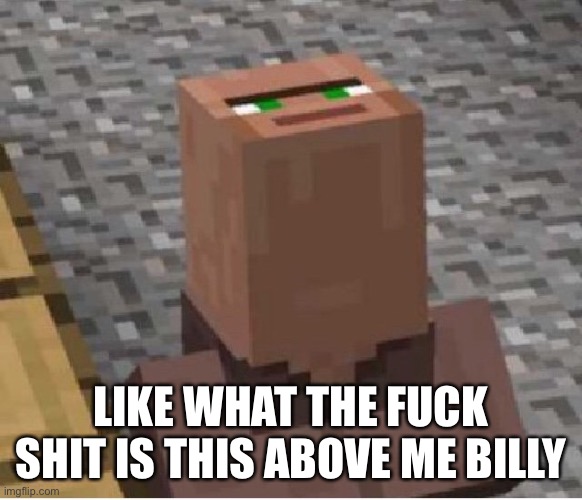 Minecraft Villager Looking Up | LIKE WHAT THE FUCK SHIT IS THIS ABOVE ME BILLY | image tagged in minecraft villager looking up | made w/ Imgflip meme maker