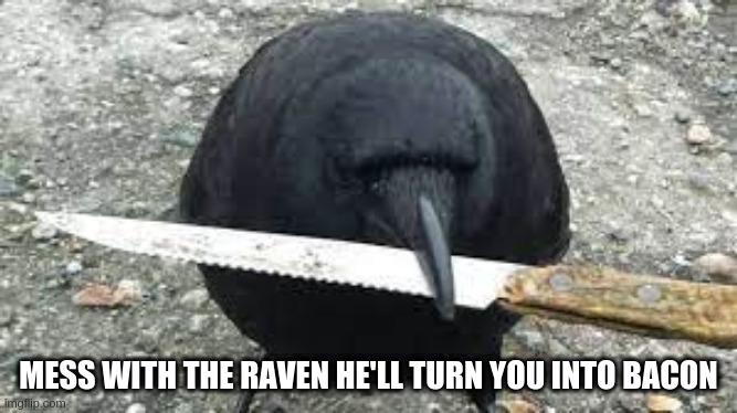 MESS WITH THE RAVEN HE'LL TURN YOU INTO BACON | made w/ Imgflip meme maker