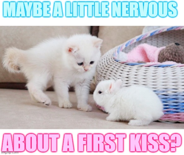 MAYBE A LITTLE NERVOUS ABOUT A FIRST KISS? | made w/ Imgflip meme maker