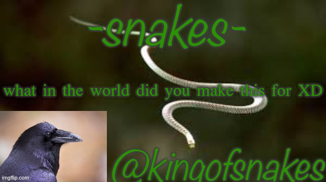 Kingofsnakes template by nezuko_official | what in the world did you make this for XD | image tagged in kingofsnakes template by nezuko_official | made w/ Imgflip meme maker